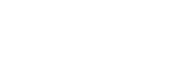Frota Simples
